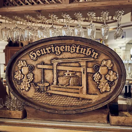Appart hôtel Salzburg Saalbach-Hinterglemm